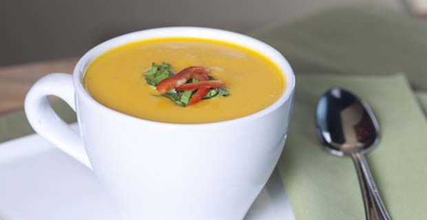 Butternut Squash Blender Soup